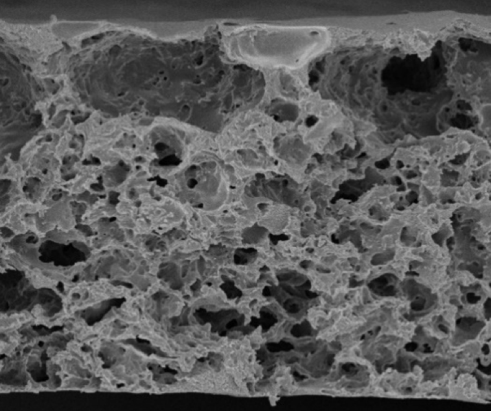 Membrane Formation Experiment Membrane Formation Experiment